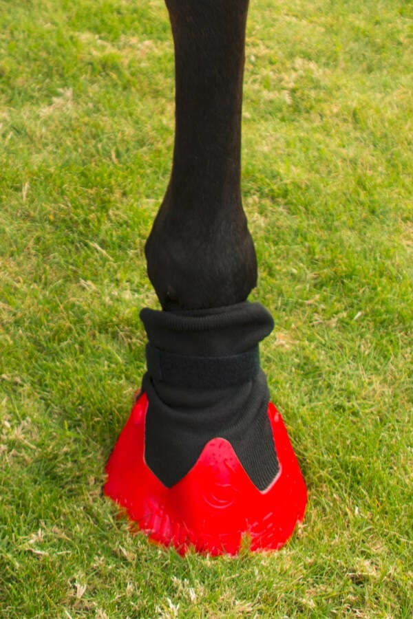 TUBBEASE Hufschuh Tubbease™